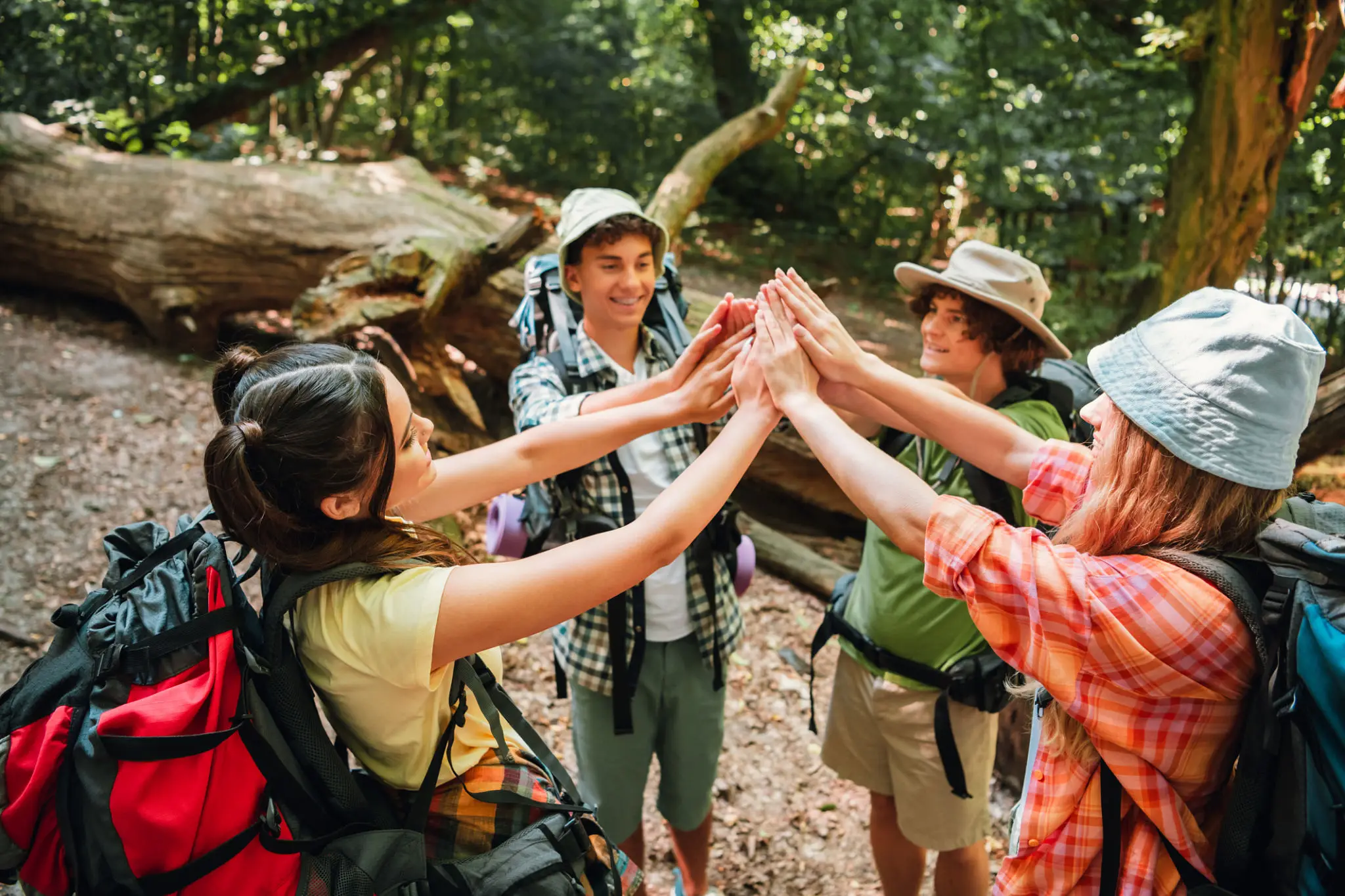 Group of hikers high-fiving in forest.