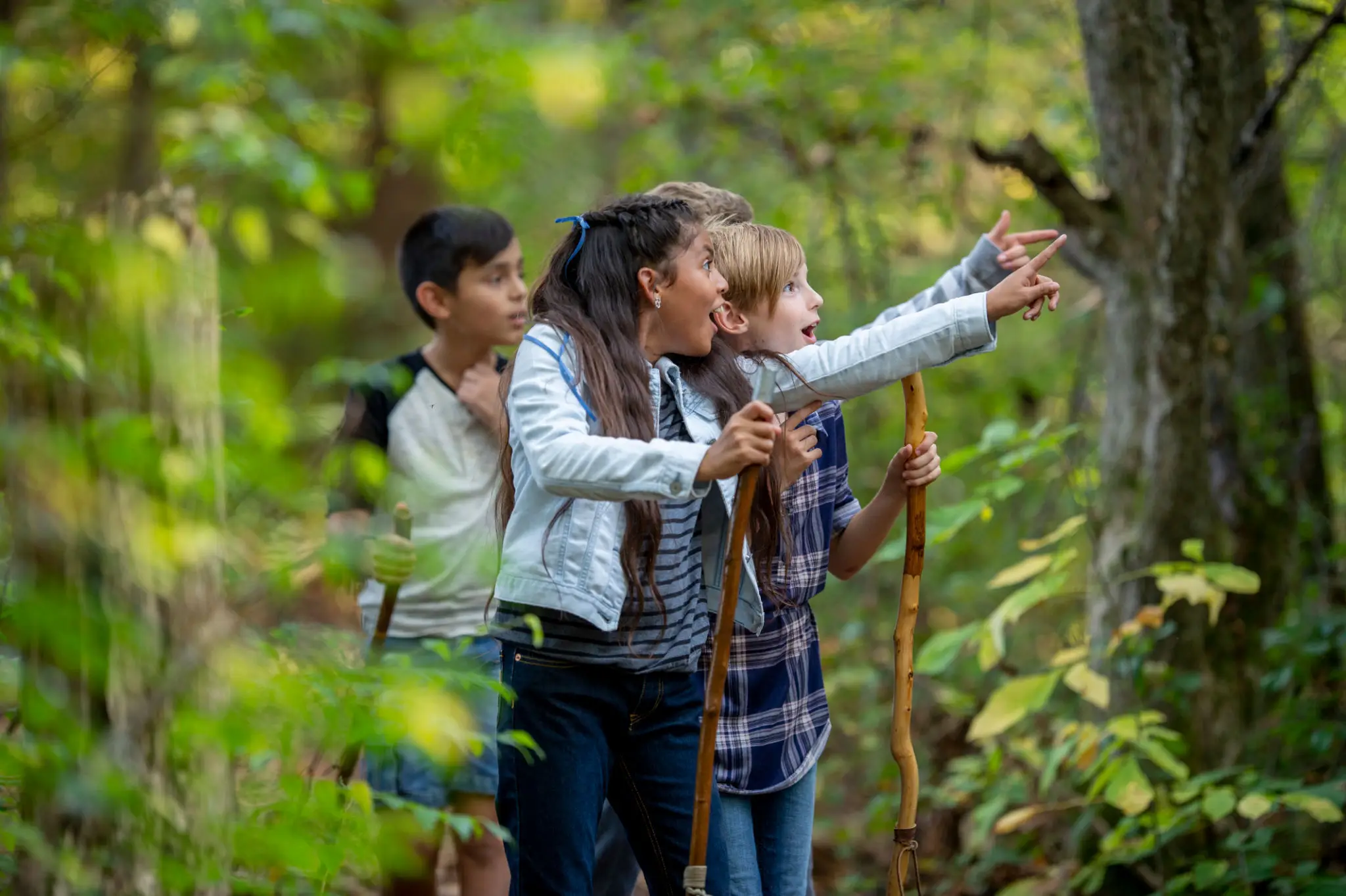 Kids pointing in a lush green forest
